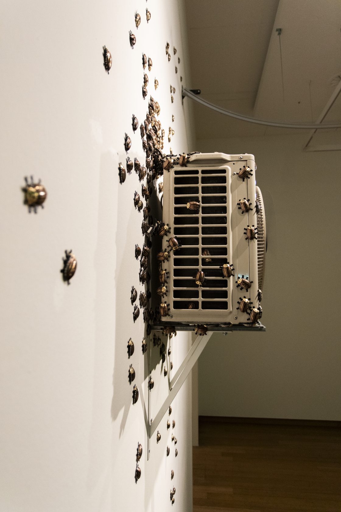 Dormancy Trail, 2023