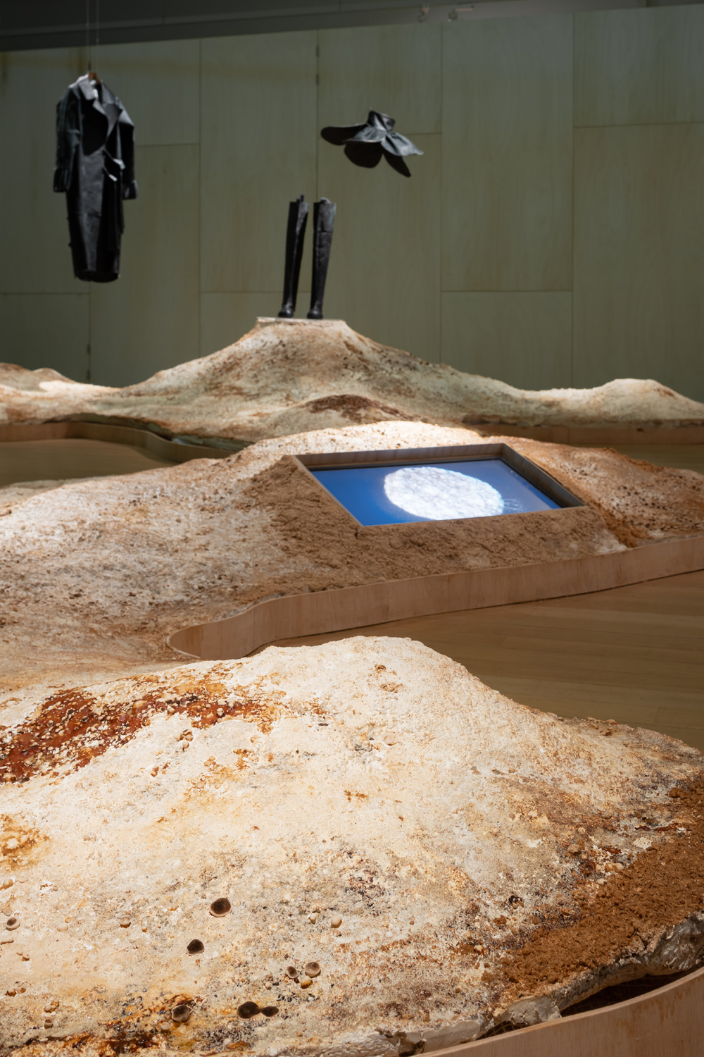 Living Mycelium Dunes, 2023