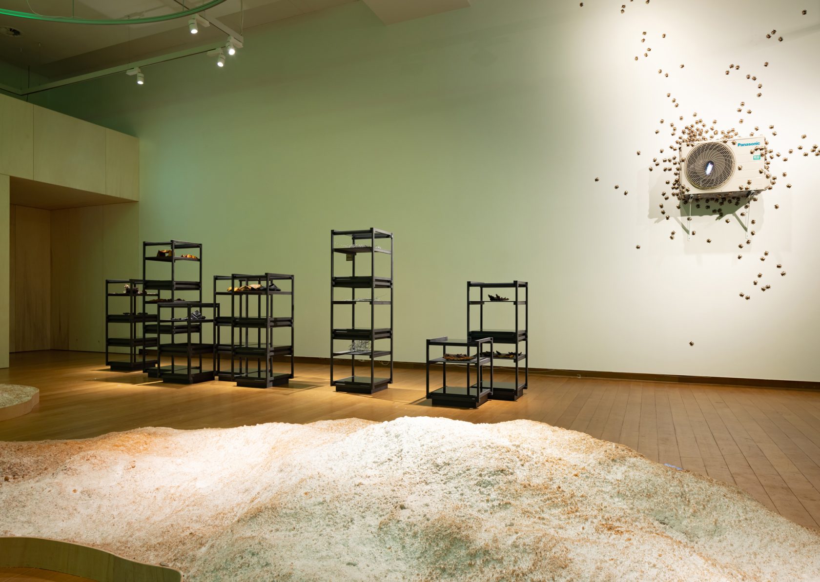 Before Distortion, 2023 – ongoing