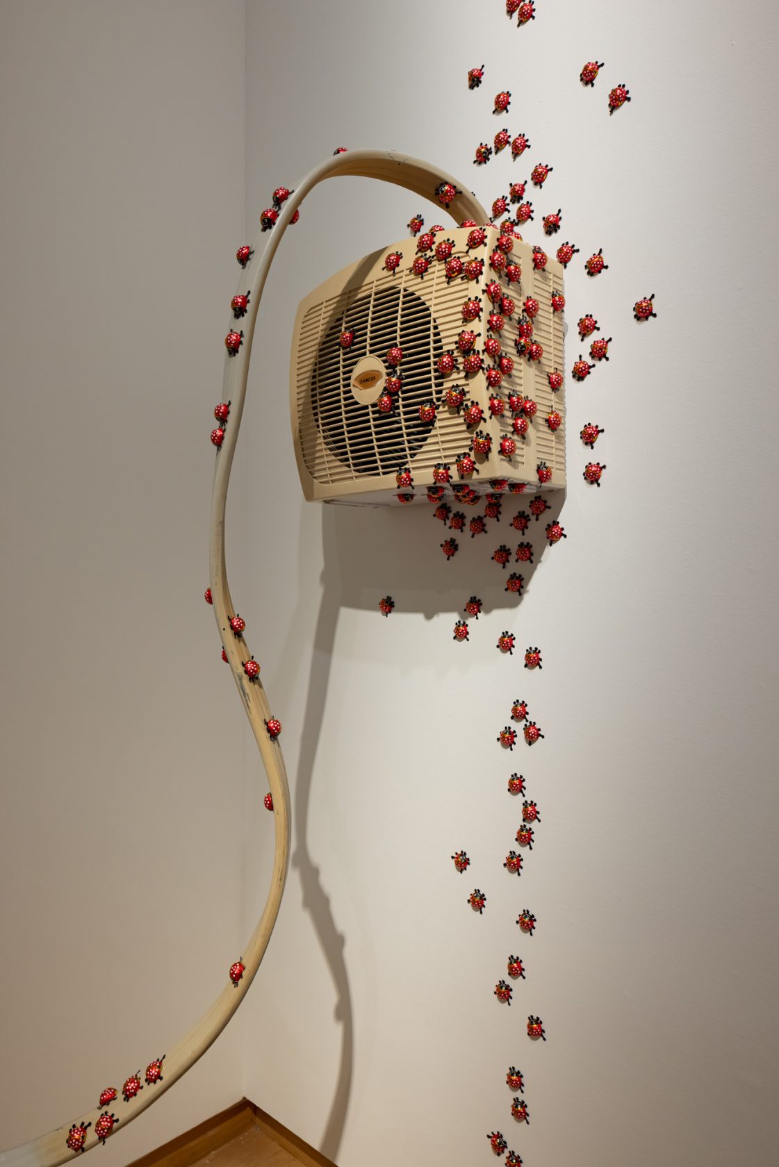 Dormancy Trail, 2023