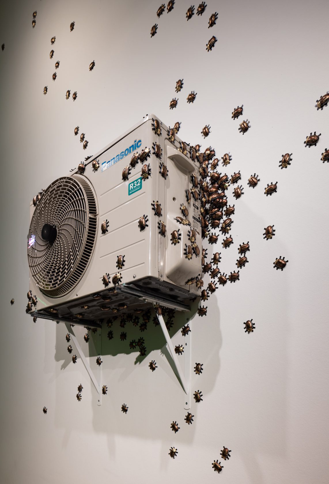 #16 Descent into Fungal