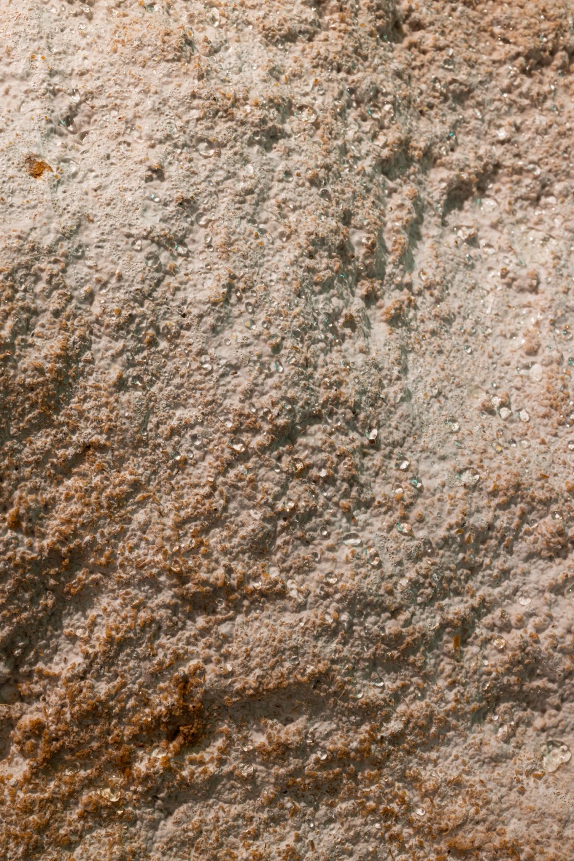 Living Mycelium Dunes, 2023