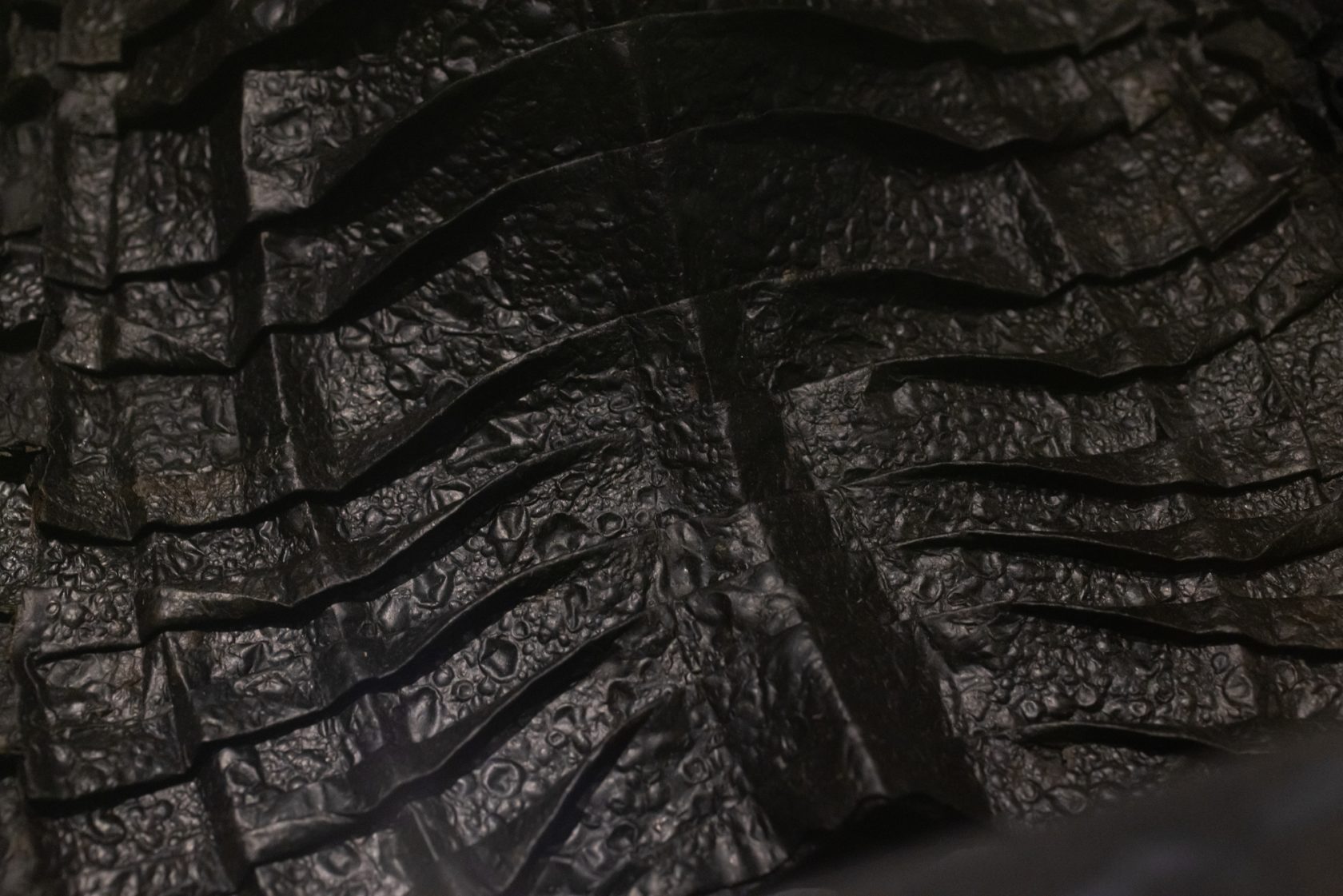 Before Distortion, 2023 – ongoing