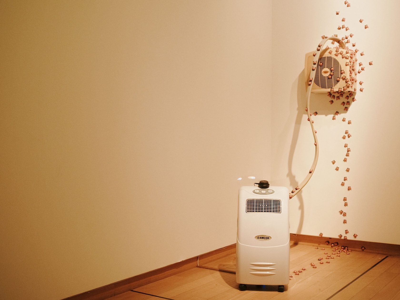 Dormancy Trail, 2023