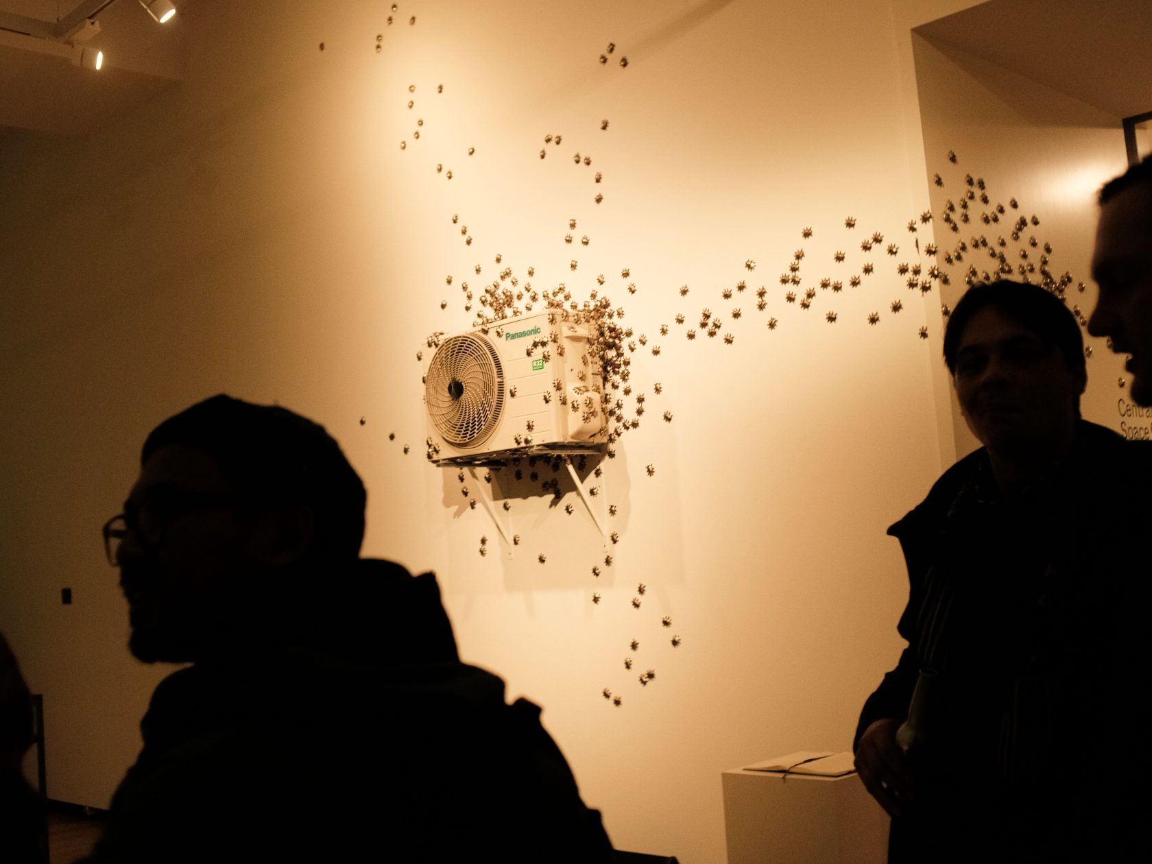 Dormancy Trail, 2023