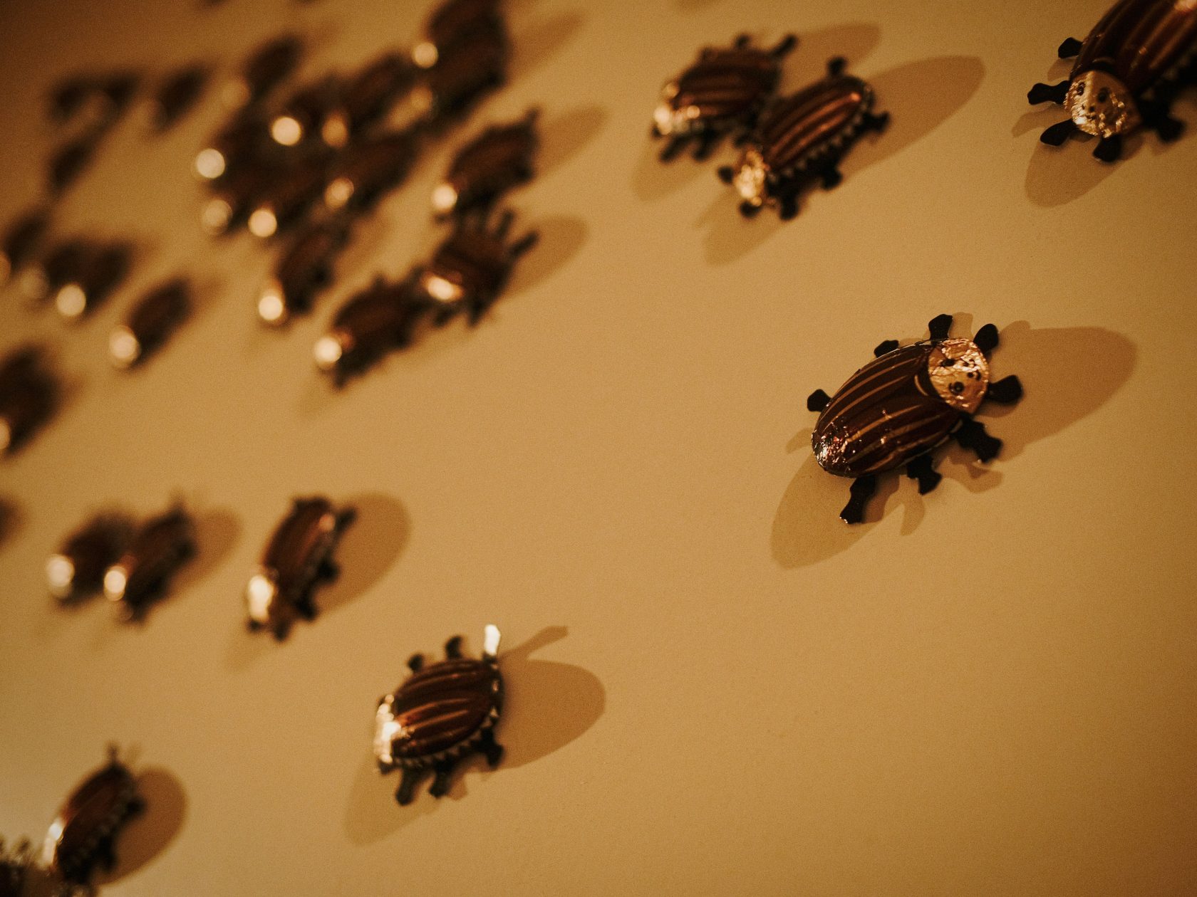 Dormancy Trail, 2023