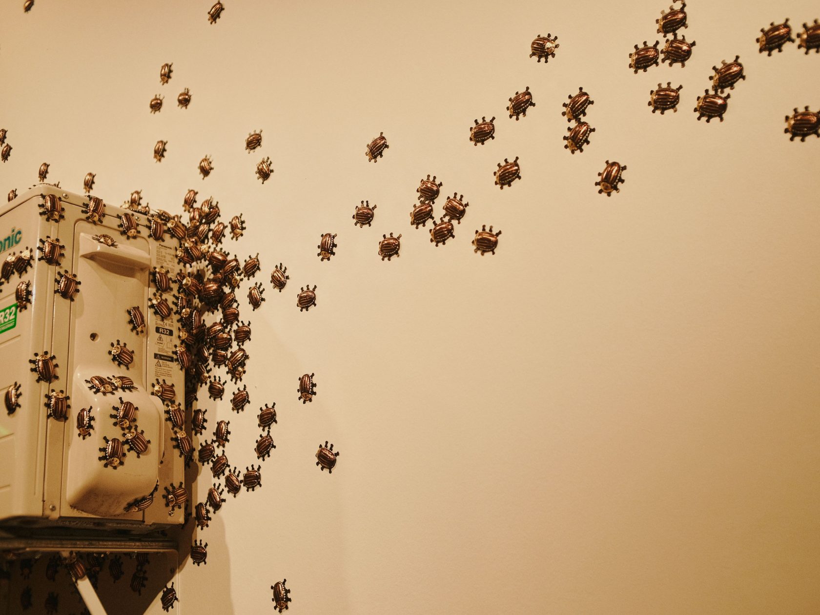 Dormancy Trail, 2023