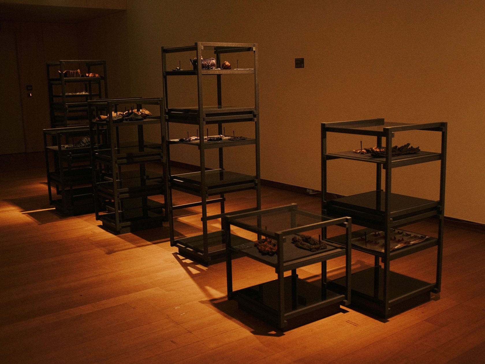 Before Distortion, 2023 – ongoing