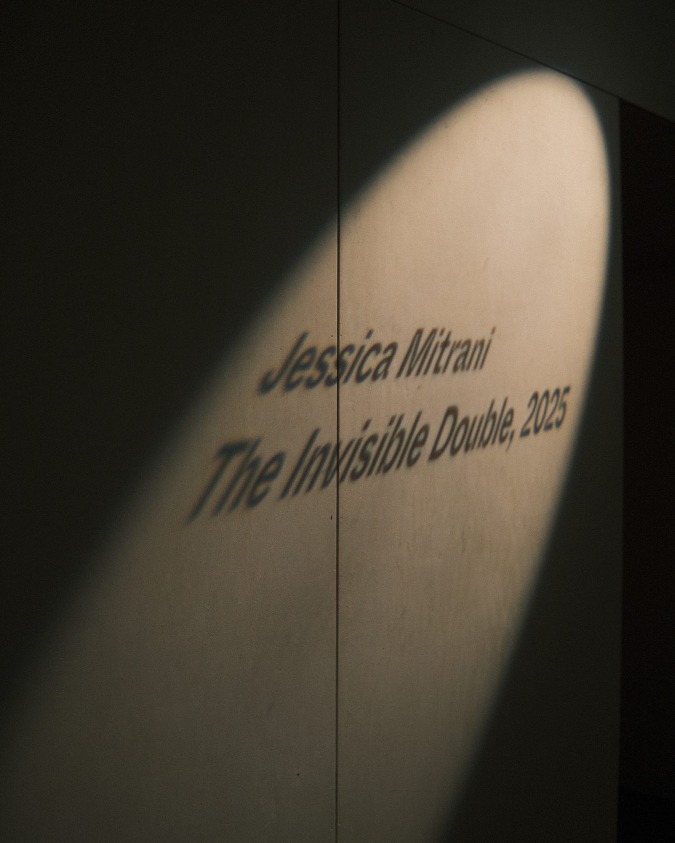 The Invisible Double (2025)