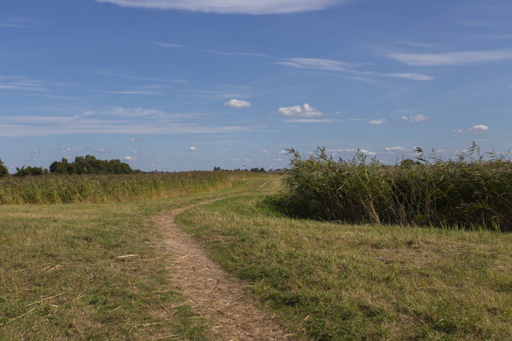 #78 “Life Compensation Lottery”