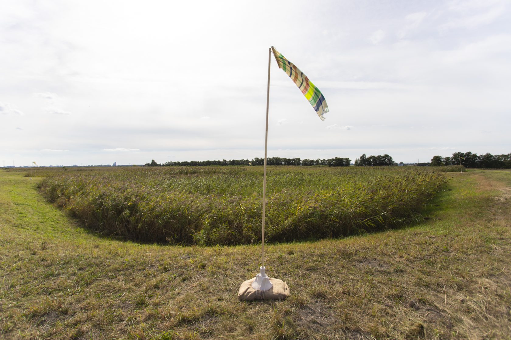 #78 “Life Compensation Lottery”