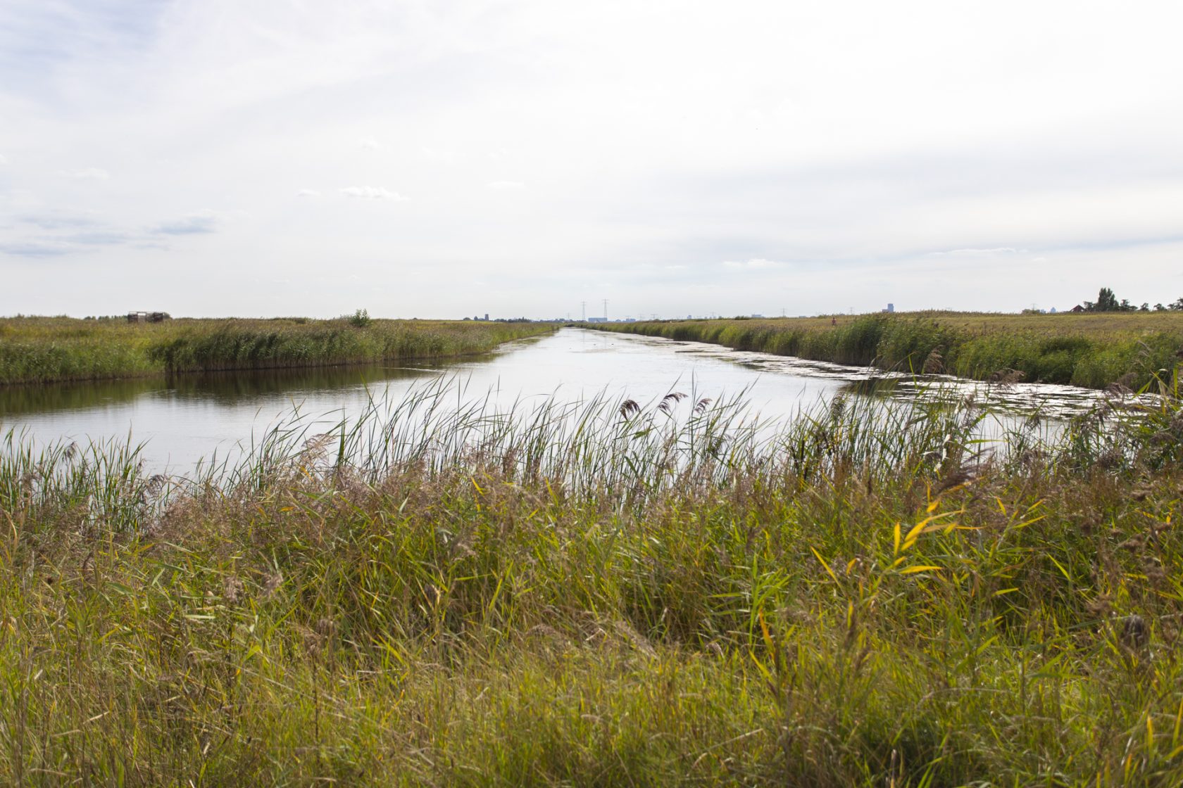 #78 “Life Compensation Lottery”