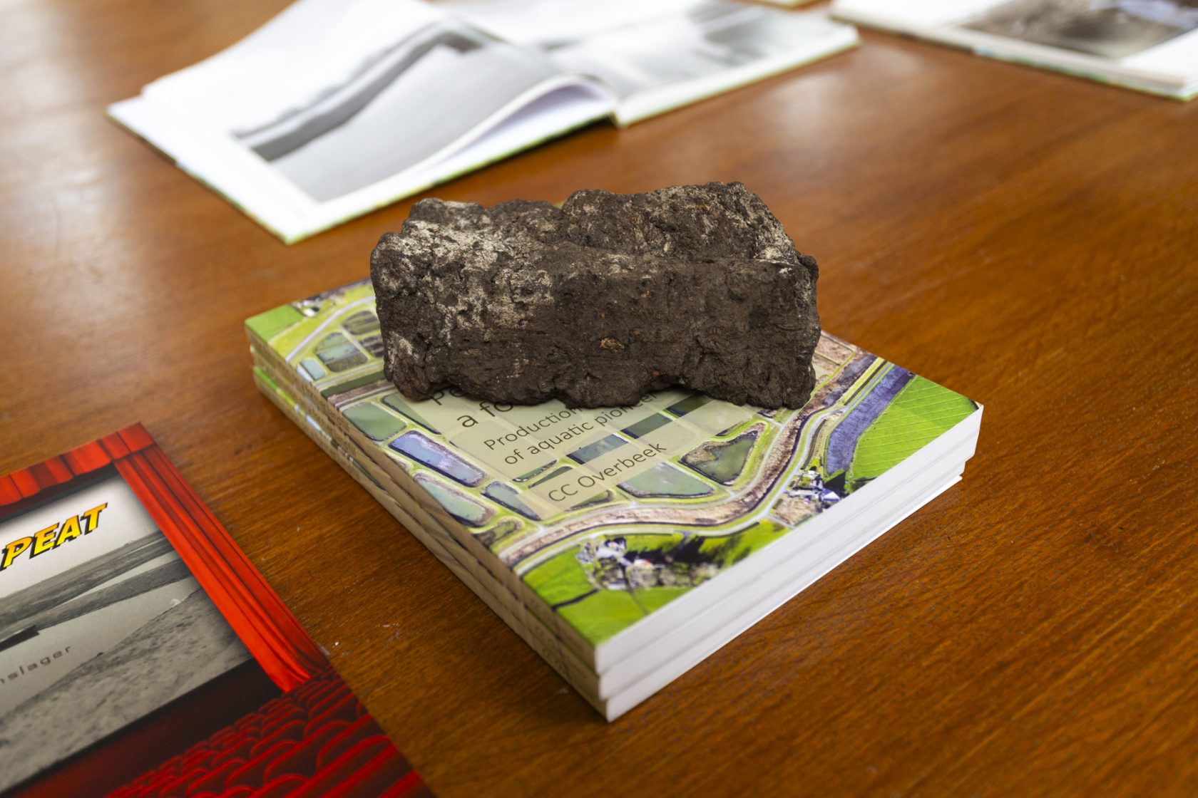 #78 “Life Compensation Lottery”