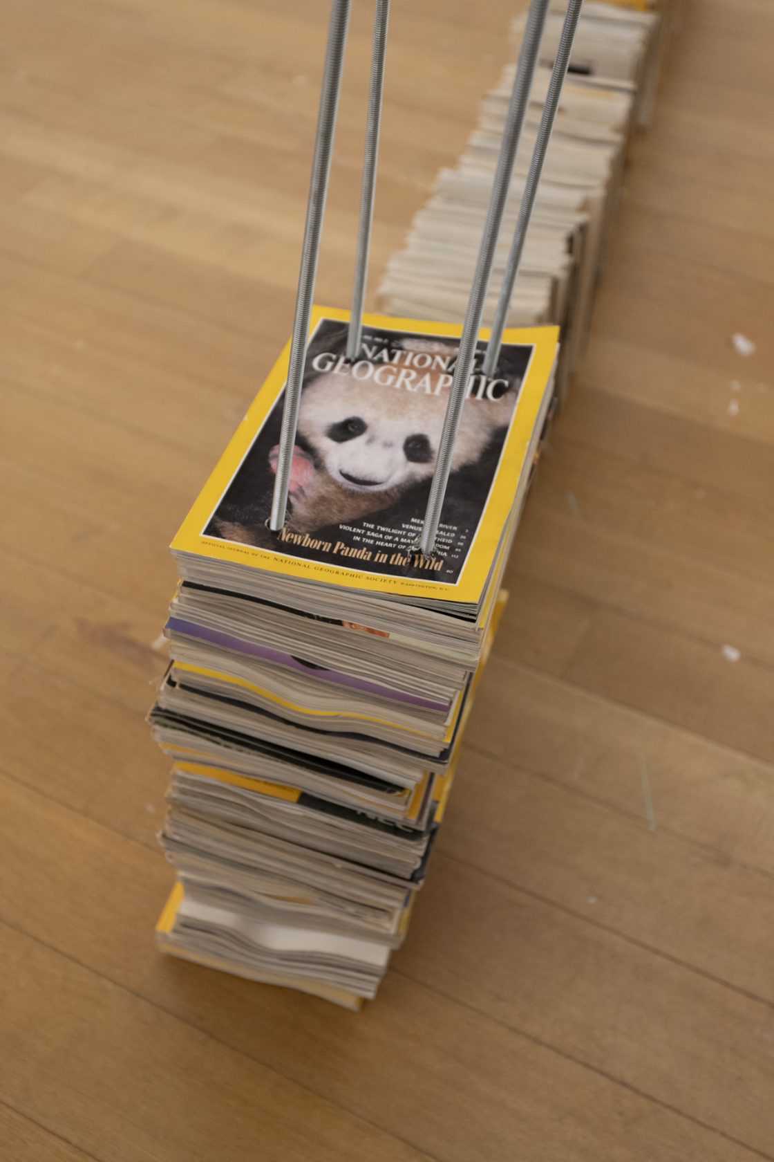 Thato Toeba: Process during Manifestation #52: To Be Determined