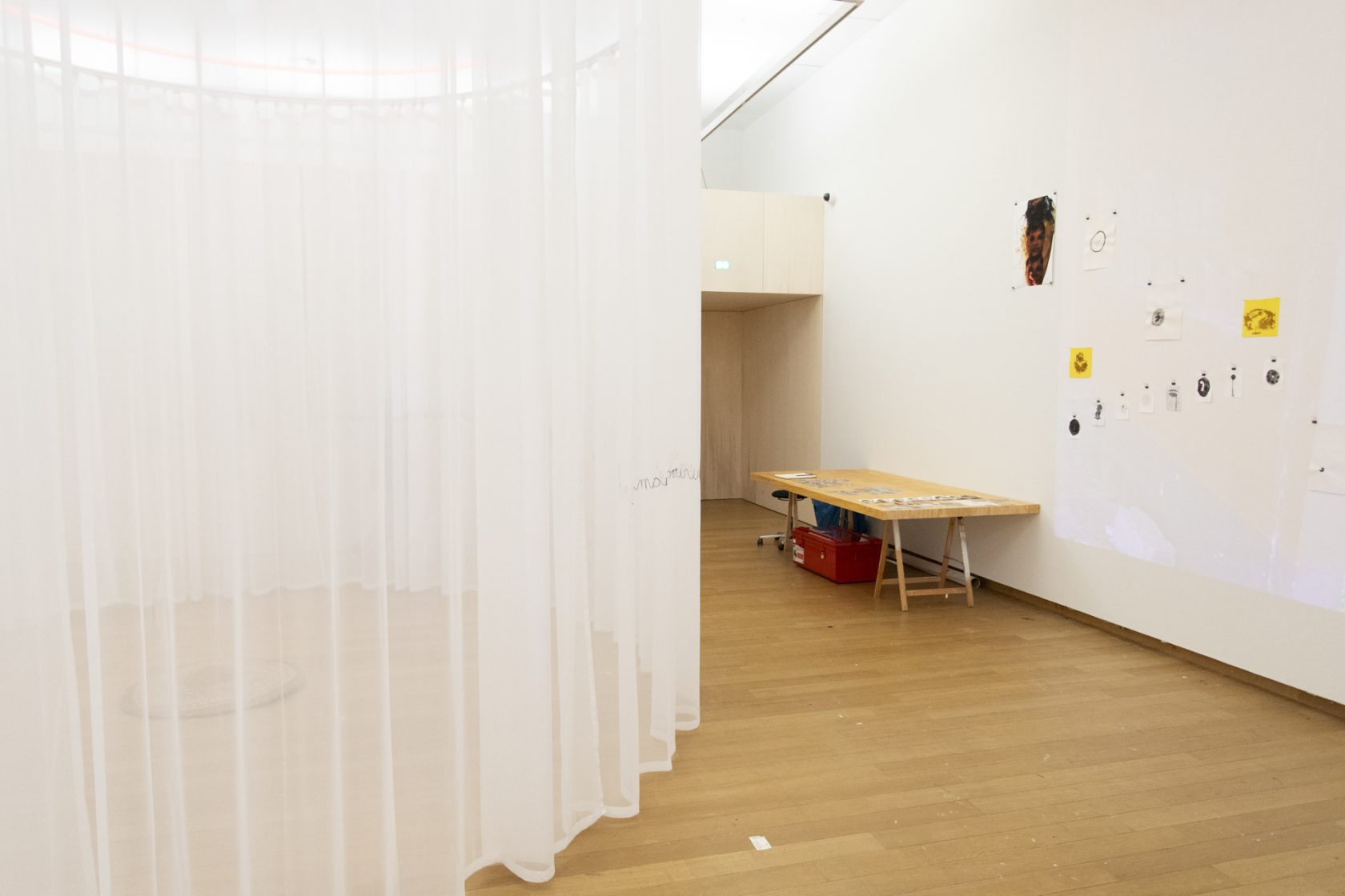 #52 To Be Determined