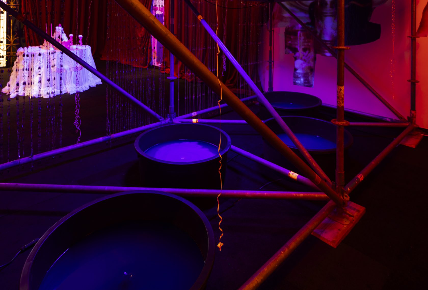 #80 The Belly of Momo