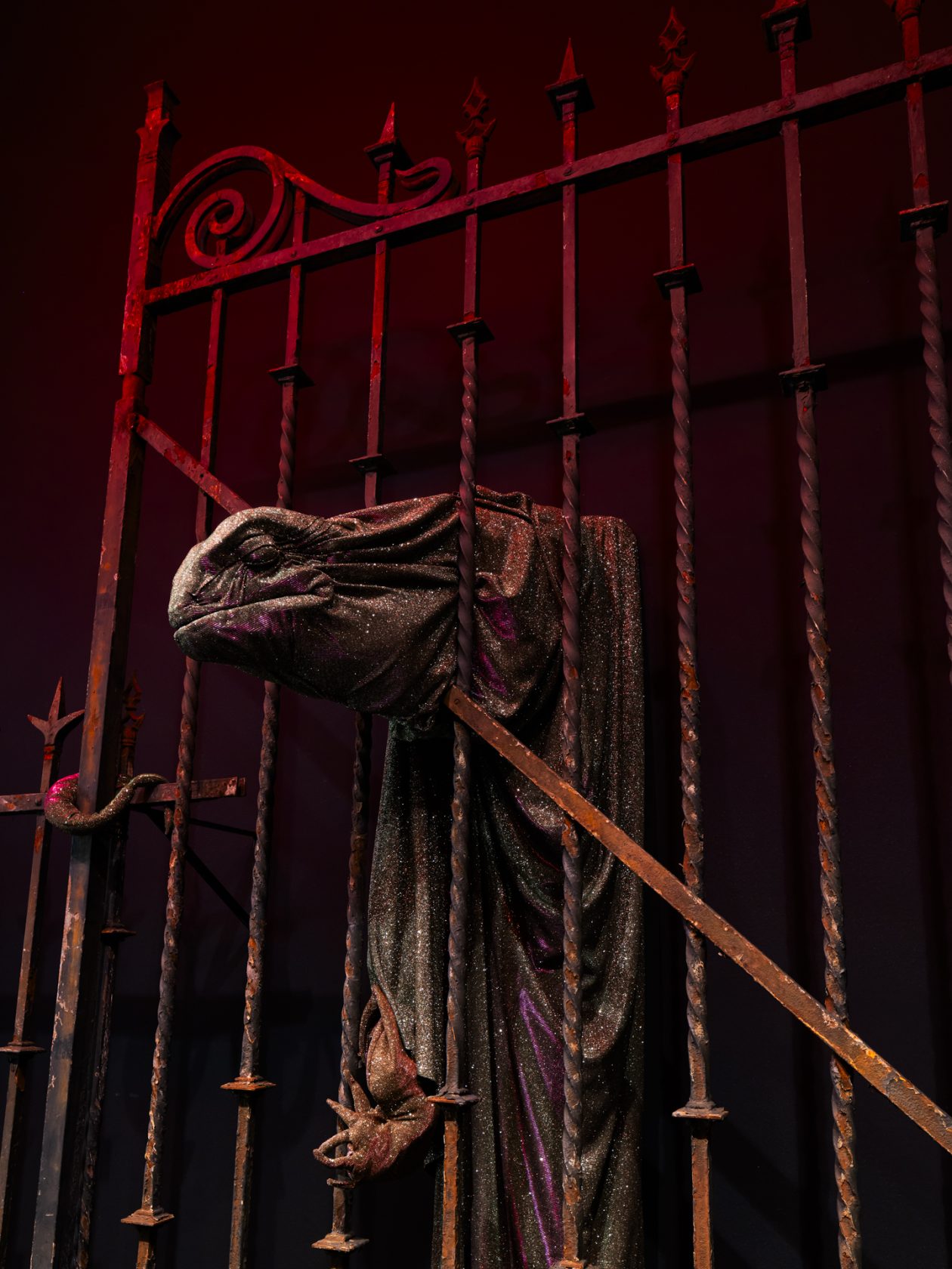 #80 The Belly of Momo